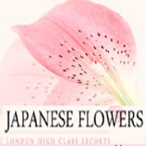 Japanese Flowers